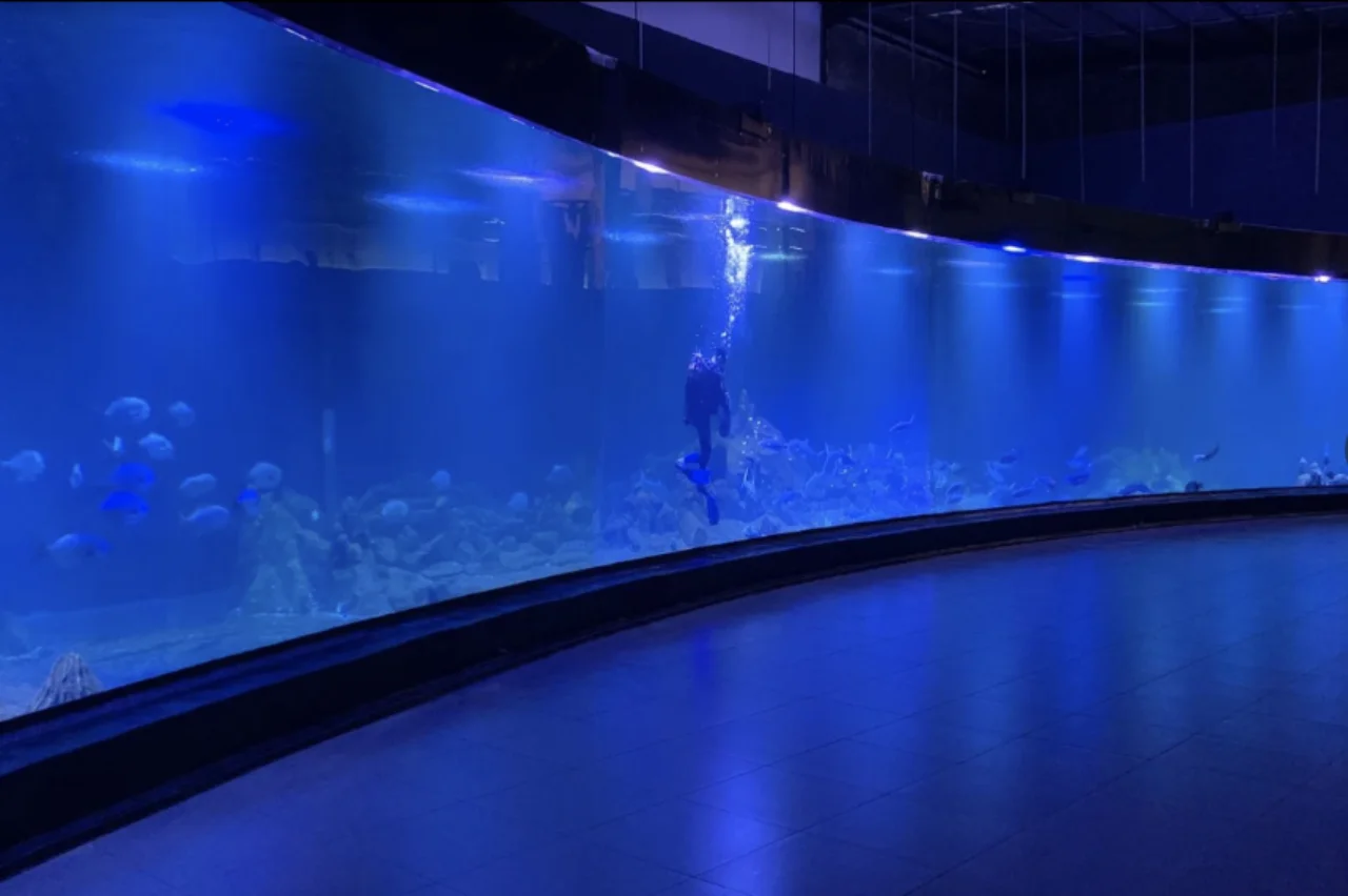 2018 - Aquarium Indonesia Pangandaran (4)