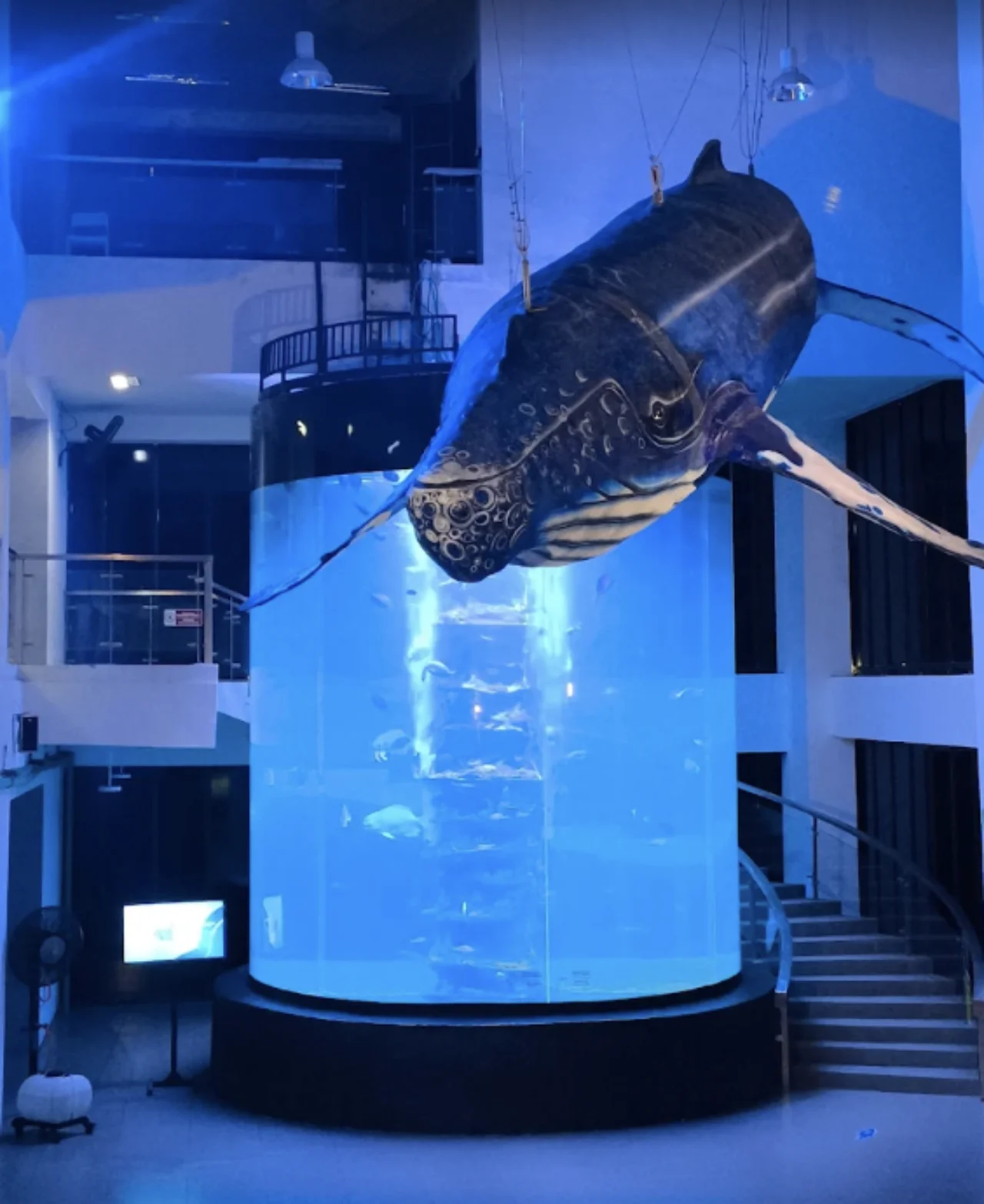 2018 - Aquarium Indonesia Pangandaran (5)