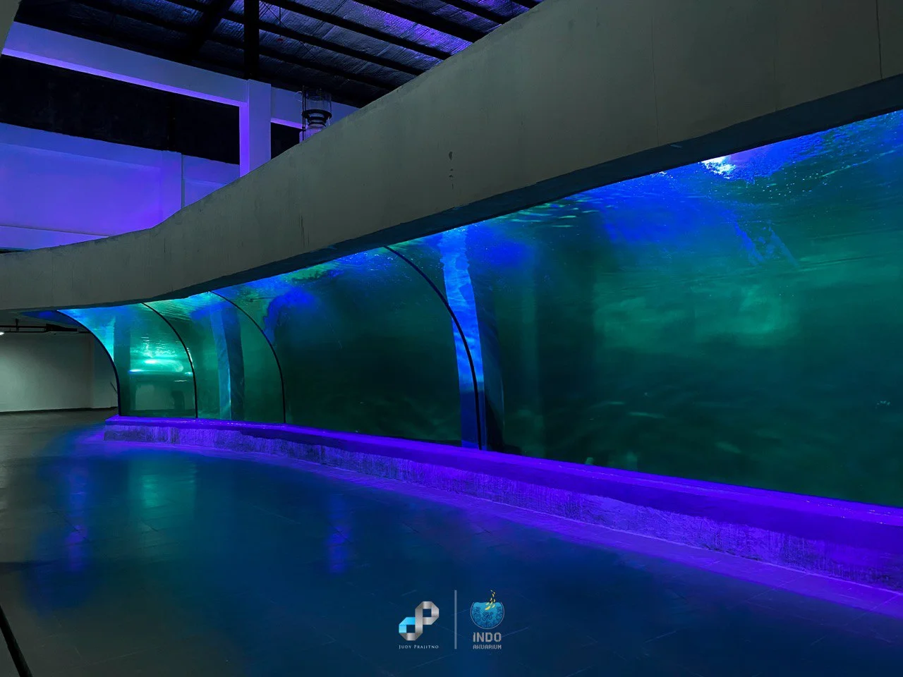 2018 - Aquarium Indonesia Pangandaran (7)