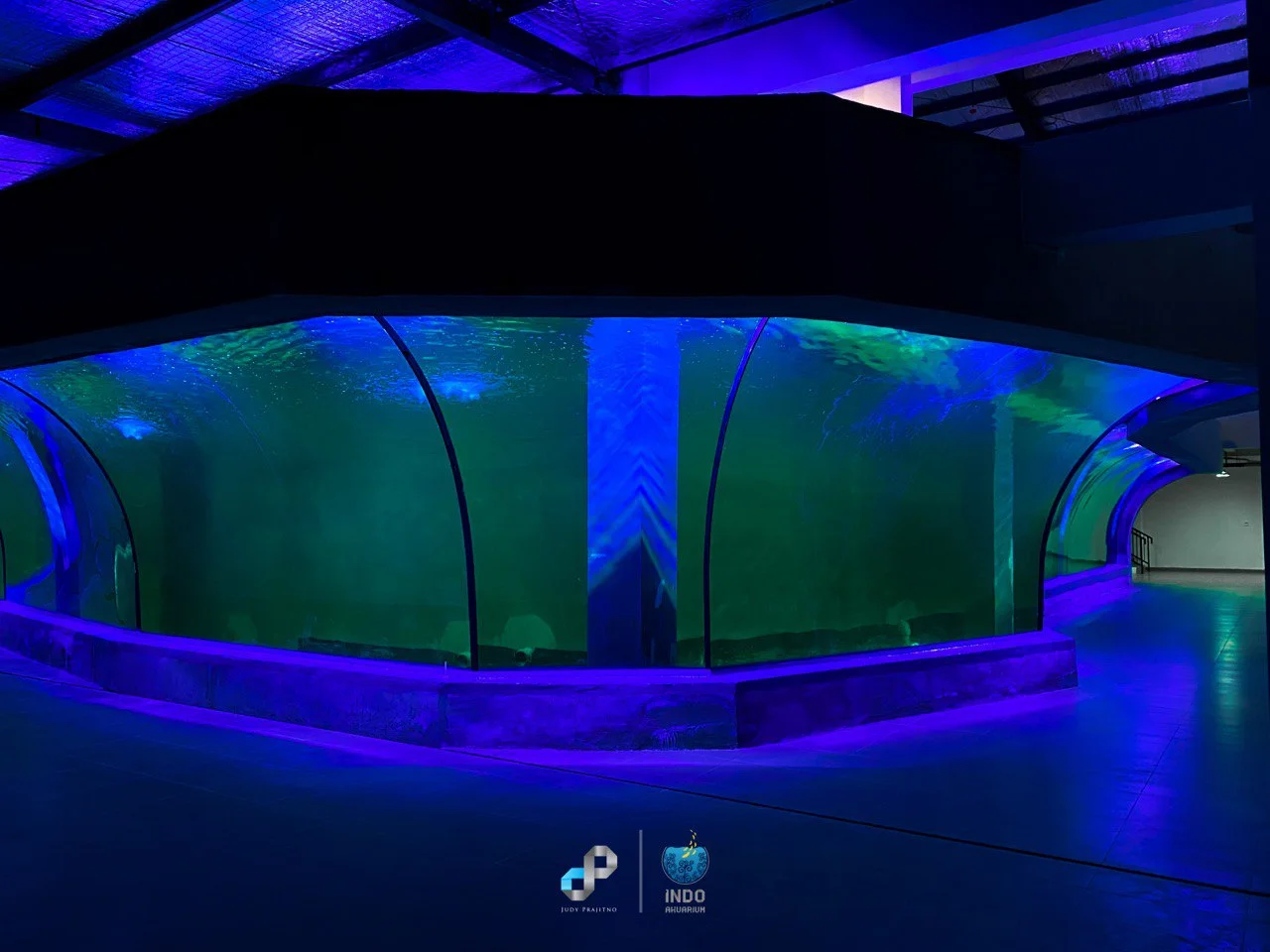 2018 - Aquarium Indonesia Pangandaran (9)