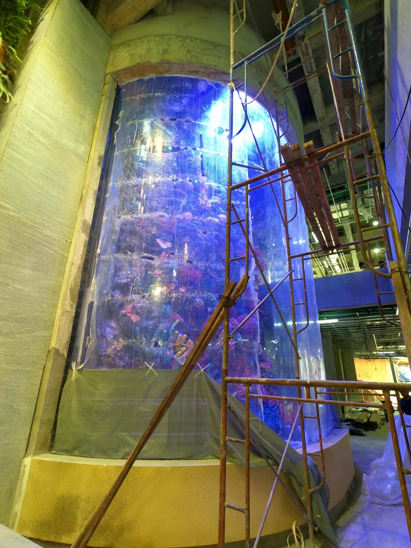 IMG-20260805-WA0125
